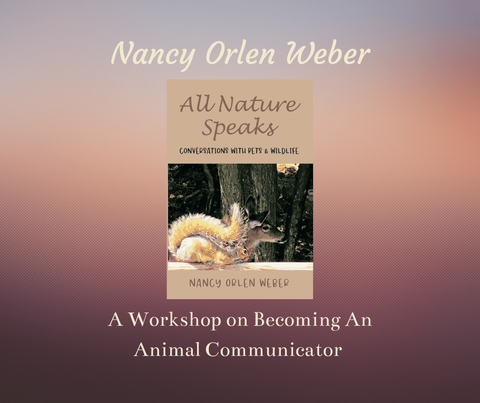 Image Animal Communicator workshop Large Pic of Book for Mailing and Posting (1)