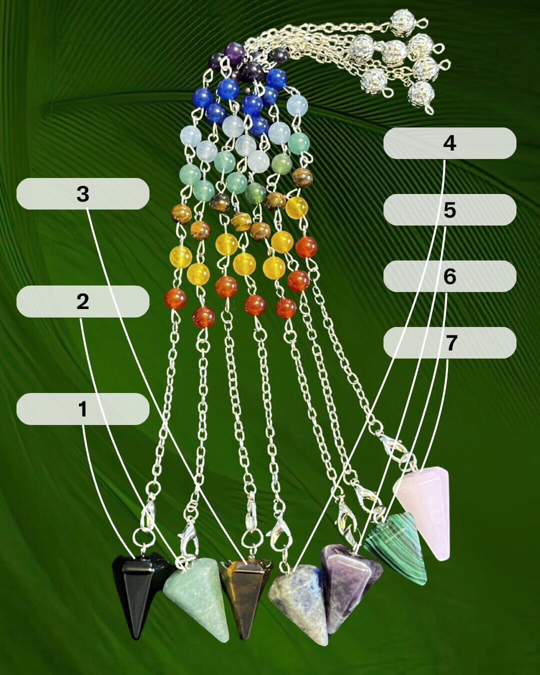 Pendulums with Numbers Assigned(1)